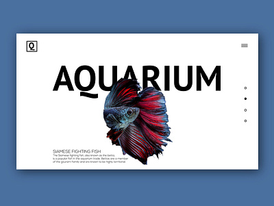 Aquarium version 2.0 aquarium aquatic fish graphics lightmode ui website