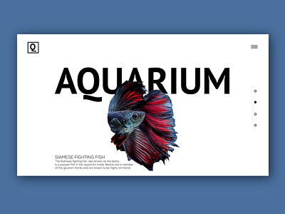 Aquarium version 2.0
