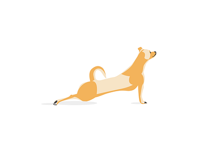 Upward Facing Dog