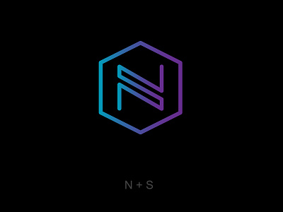 NS - Monogram brand brand design brand identity branding icon logo ns sn