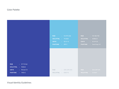 Color Palette for Branding brand guidelines brandbook branding clean color design graphic identity logo palette