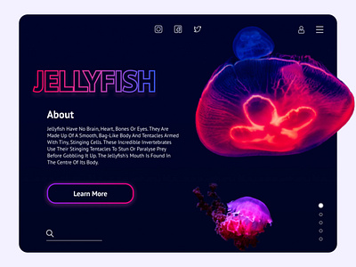 Jellyfish concept page branding colors design figma illustration jellyfish concept page logo photo photoshop ui web website