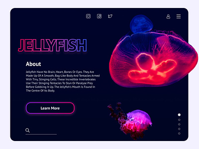 Jellyfish concept page