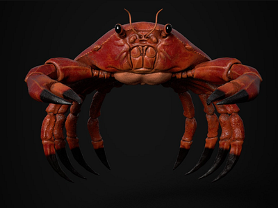 Crab 3D 3d animation art blender creature dribbble zbrush zbrush sculpt