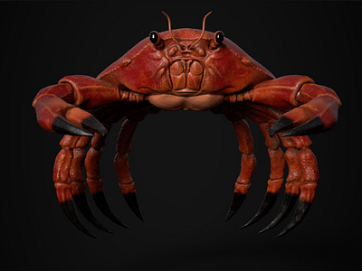 Crab 3D