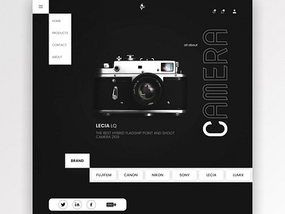 Camera store Website