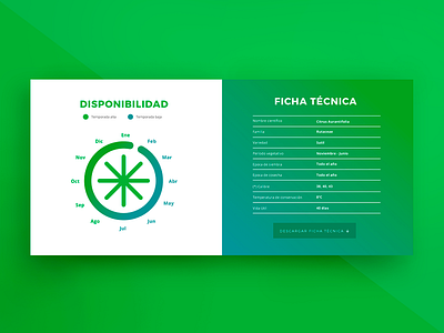 Technical sheet and availability design first shot peru ui ux web design