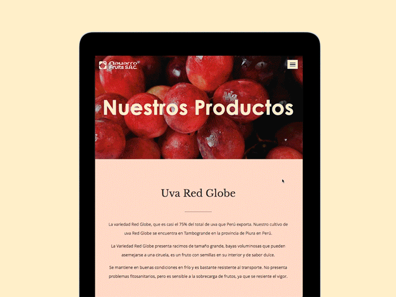 Navarro - Product Detail design detail fruits grapes product product page typography ui ux