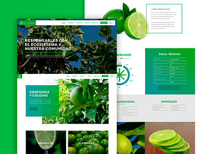 La Palma: Website buttons fresh gradient grid layout menu navigation scroll seo ui web webdesign