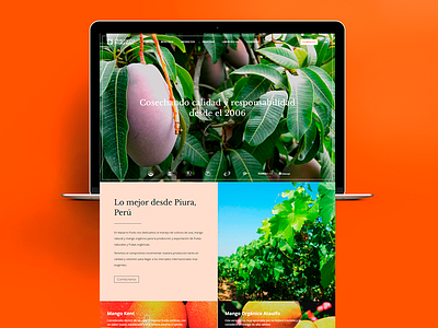Navarro Fruits: Home business design desktop fruits home homepage minimal page ui ux web website