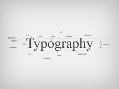 Typography