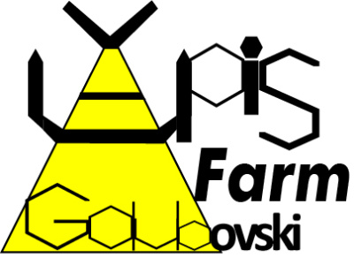 Apis Farm Golubovski-Prototype Logo