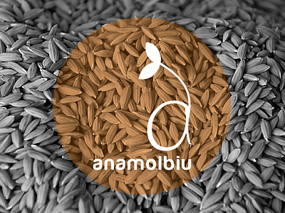 Logo & Visual Identity of Anamolbiu Comapny agriculture anamolbiu bhajumahesh biodiversity branding company logo mahesh shrestha nepal seed seed company visual identity