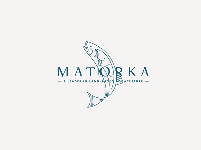 Draft Concept 3 for Matorka