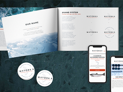 Matorka Brand Identity brand guide branding fish web design website