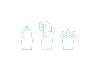 3 Amigos cacti cactus green plants prick succulents turquoise
