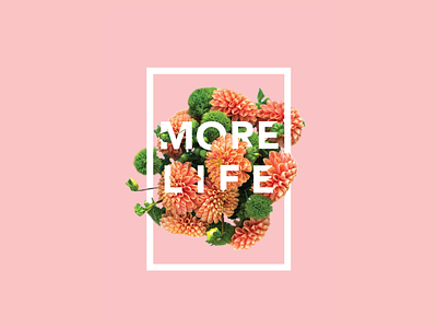 More Life drake floral more life type art type daily type play typography