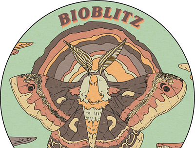 BIOBLITZ digital art illustration insects photoshop