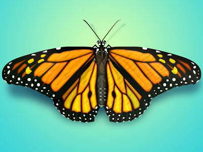 Free Butterfly Psd Illustration butterfly colorful design free illustration pixaroma png psd realistic