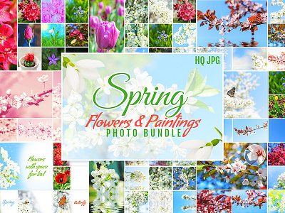 Spring Flowers and Paintings Bundle background bundle deal floral flower nature painting photo reflection snowdrop spring