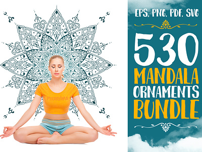530 Vector Mandala Ornaments Preview