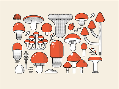 Mushrooms design illustration illustrator vector