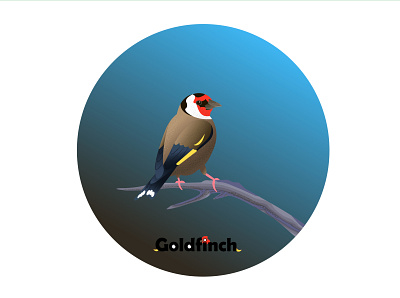 goldfinch character character design design goldfinch illustration illustrator logo vector дизайн иллюстрация