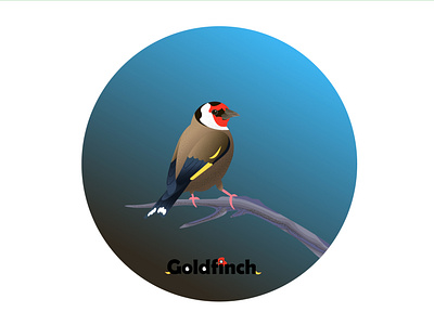 goldfinch