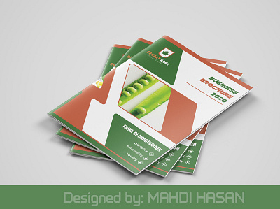 BUSINESS BROCHURE branding identity business business branding business brochure company branding company brochure company profile construction