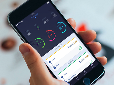 Iphone app for car app charts design historic ios iphone map trip ui ux