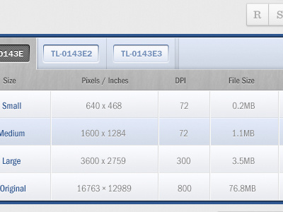 Tabbed Table blue buttons css3 downloads grey intranet table tabs tabular data