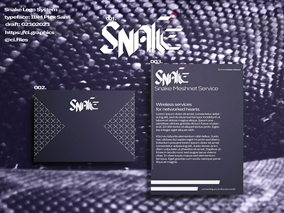 SNAKE - WiFi Branding Exploration, 2021 brand design branding concept design graphic design logo logo design snake typography