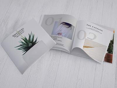 Catalog/Brochure Free PSD Mock-Up