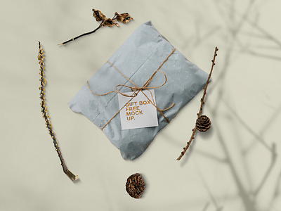 Gift Box in Pillow Free Mockup