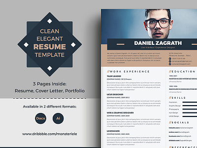 Clean Elegant Resume/CV Template