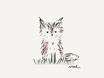 Lilfox cute fox