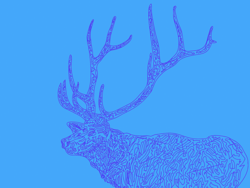 Contour animation color contour deer drawing elk gif illustration illustrator nature swatches