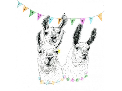 llama party