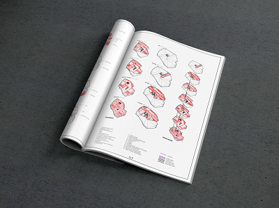 Mockup book #01 book design diagram layout mockup typography