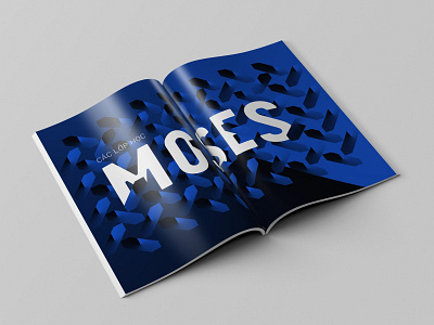 Moses Book #05 architecture artwork branding layout logo photoshop poster art typography