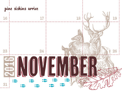 November calendar deer fall nature