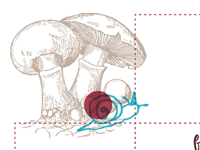 May snail calendar mushroom snail