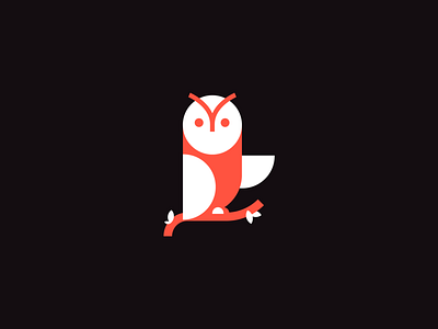 Cute Owl logo - colorful concept