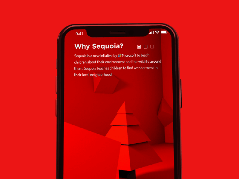 Sequioa - Animated after effects animation bear design interaction interface onboarding sequioa ui ux