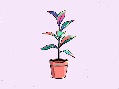 Plant in a pot drawing ficus flower illustration plant pot