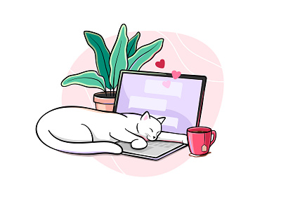 Sleeping cat cat chat coffee cup laptop messager plant sleep tea