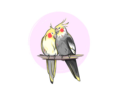 Parrots bird cockatiel corella cute drawing illustration love love birds parrot
