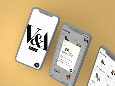 Victoria & Albert museum AR proposal (unofficial) app ar art branding design illustration typography ui ux web