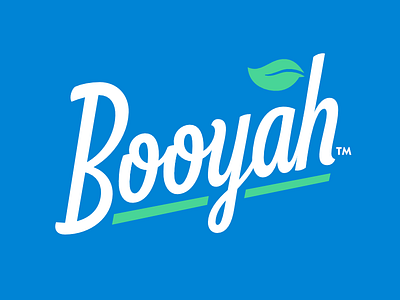 Booyah Logo bamboo lettering logo logotype natural script