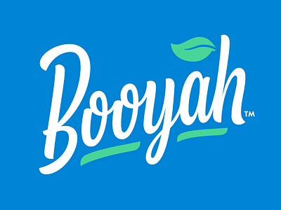 Booyah Logo bamboo booyah brush lettering logo logotype script